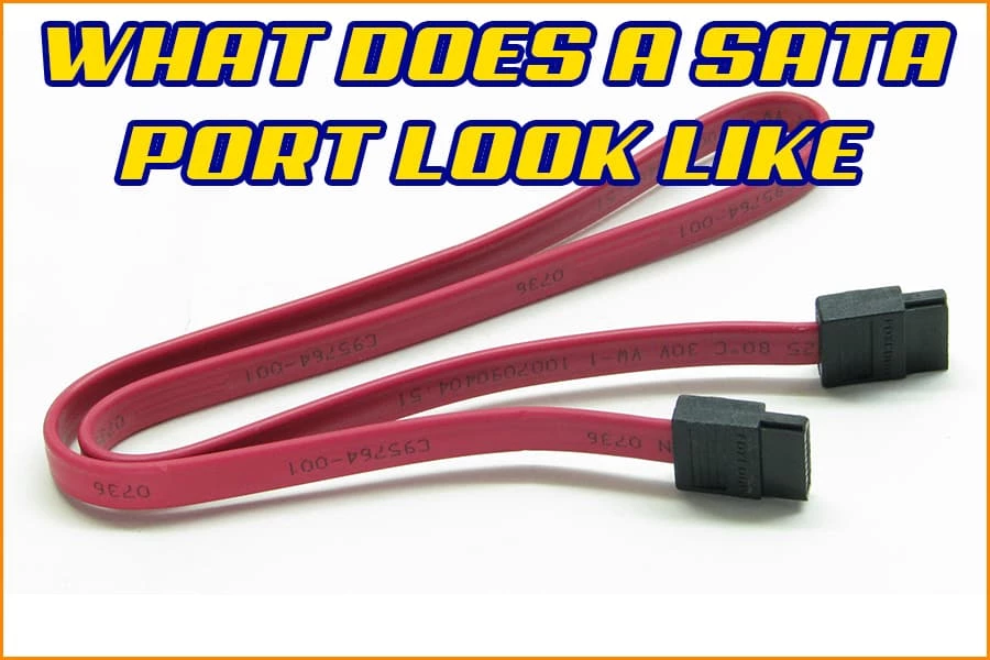 What Does A SATA Port Look Like? Advanced Connectivity