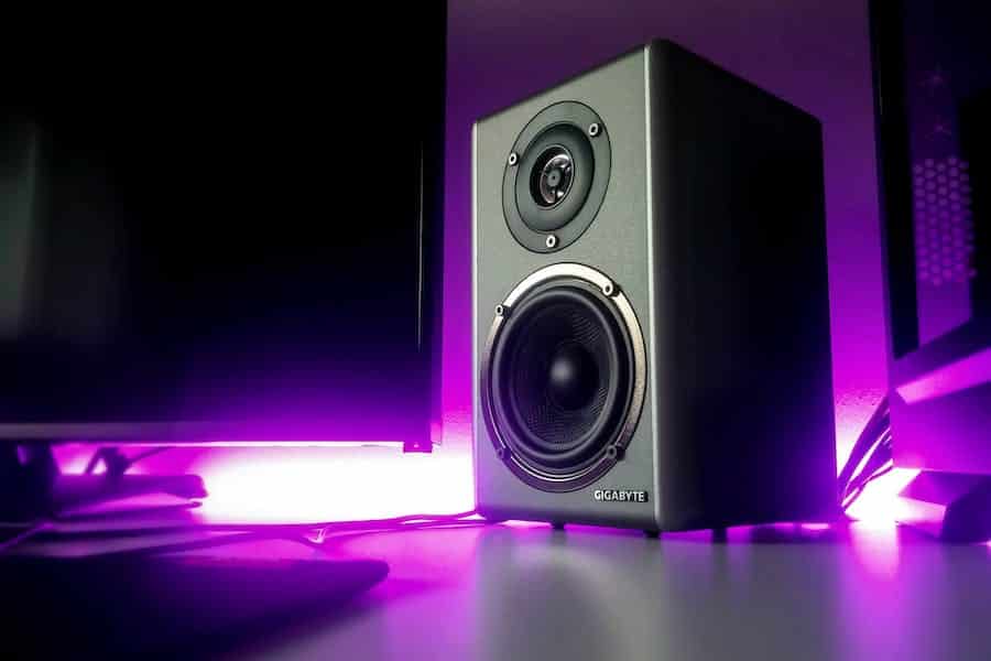 Subwoofer vs Speaker Who Wins The Battle?